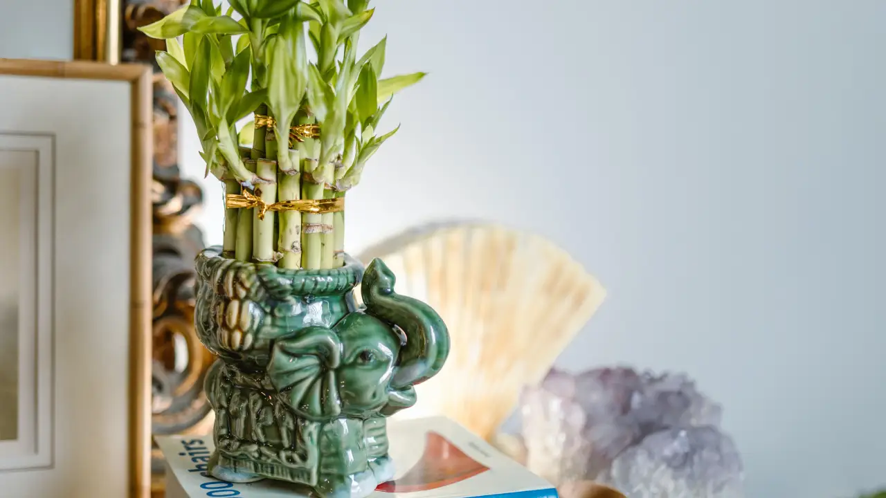 Feng Shui in Home Decor
